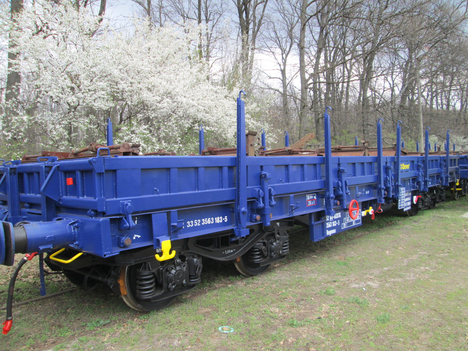Regmms (R40-1)